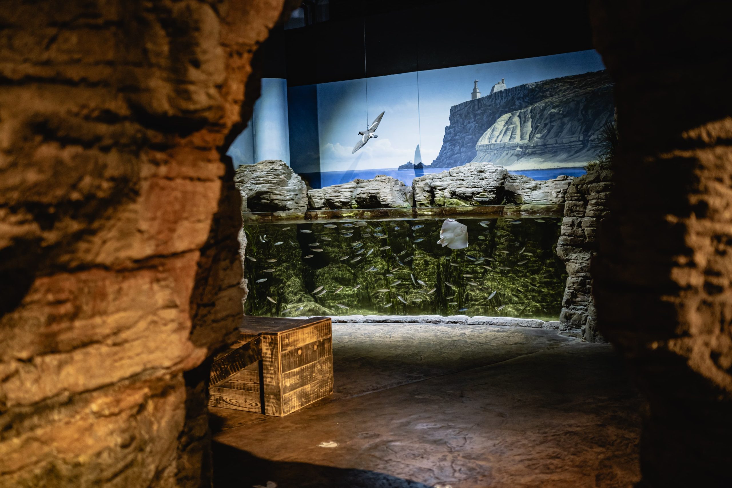 Mediterranean Talk &amp; Feeding: The Sea around Malta