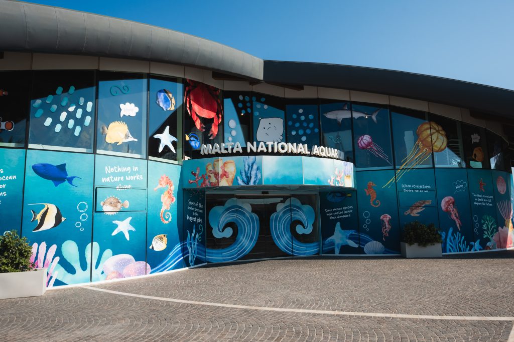 New Afternoon Rates at the Malta National Aquarium