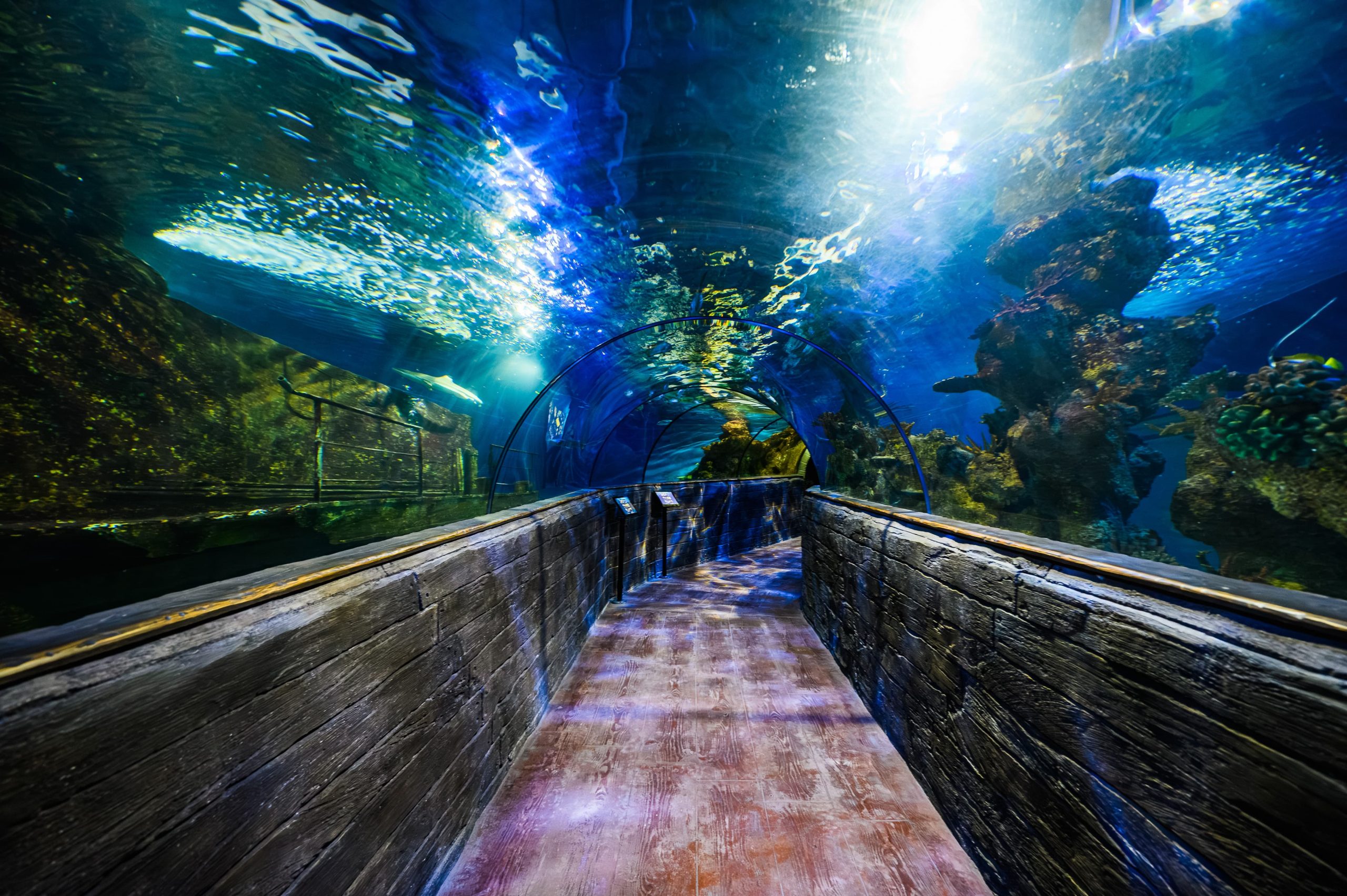 Tropical Oceans