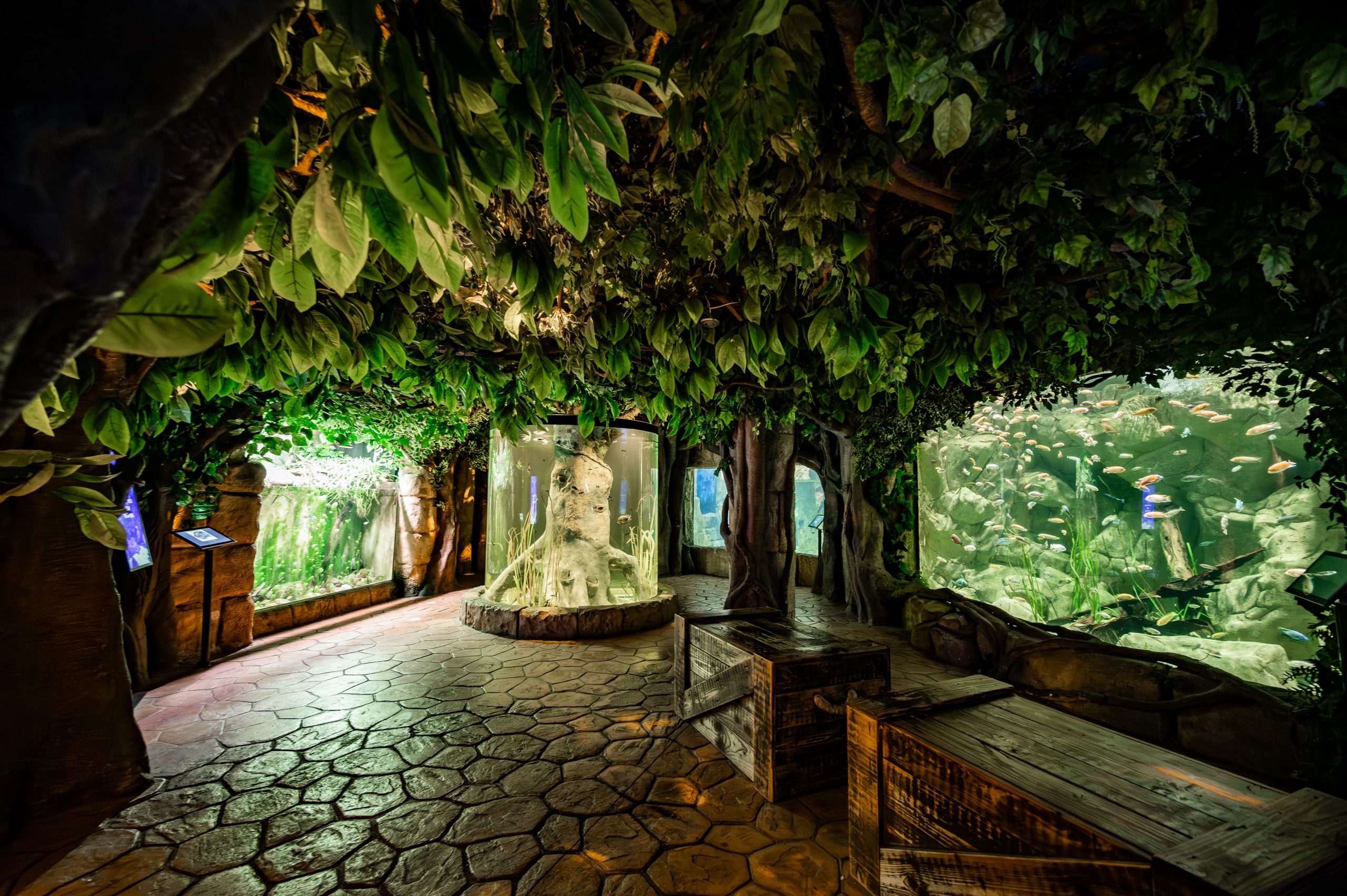Jungle Meets Temple