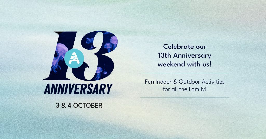 13th Anniversary Activities