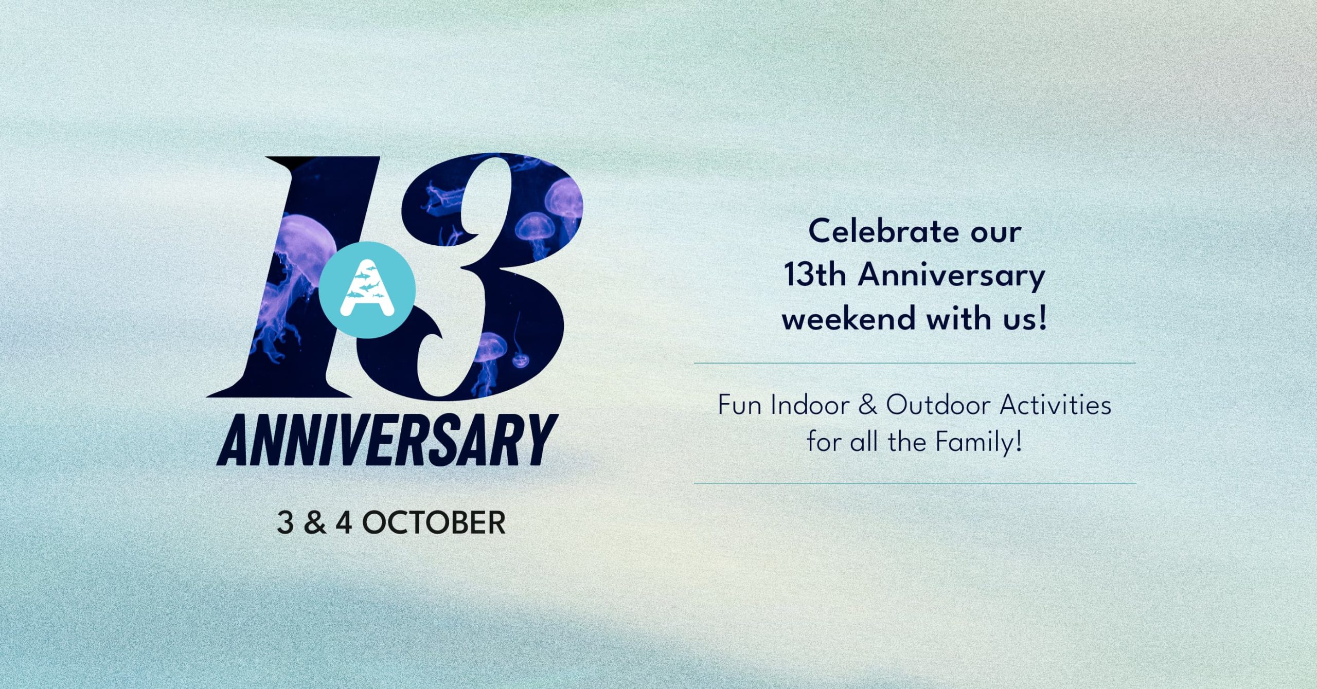 13th Anniversary Activities